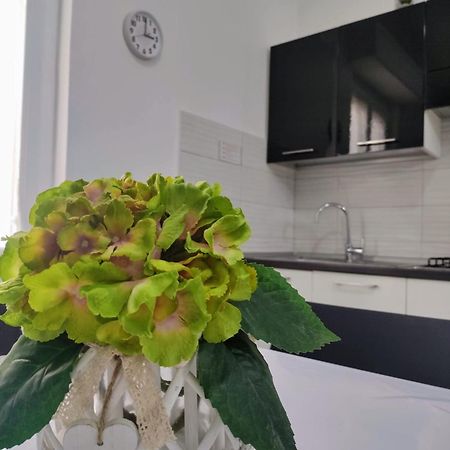 La Dormidera Apartment Alghero Ngoại thất bức ảnh